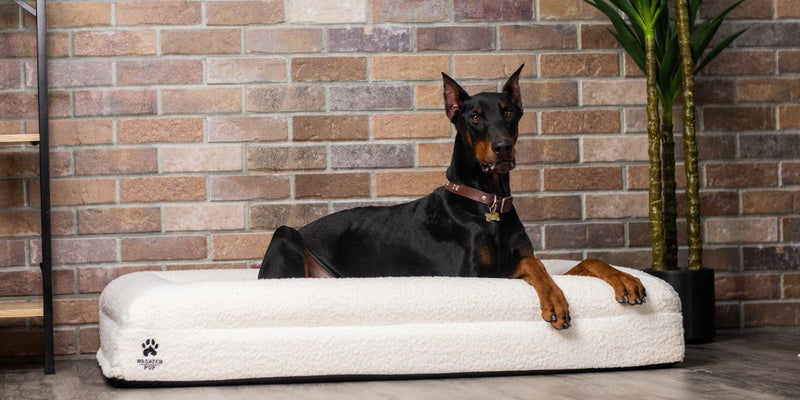 Dog Beds