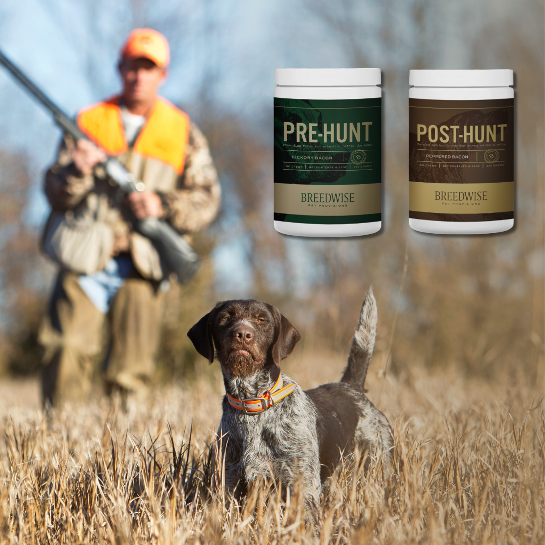 Hunting Gear