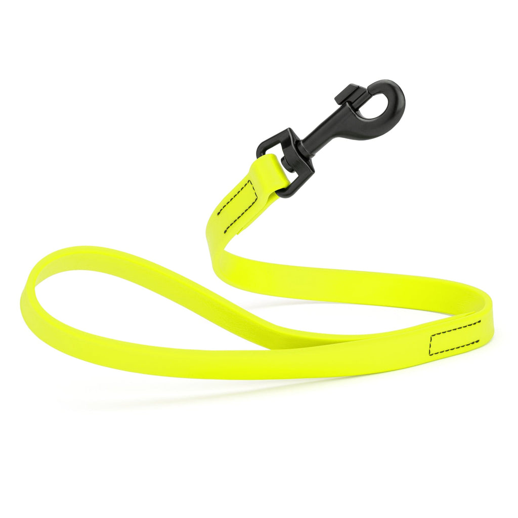 Biothane Waterproof Traffic Lead for Dogs, 2 ft