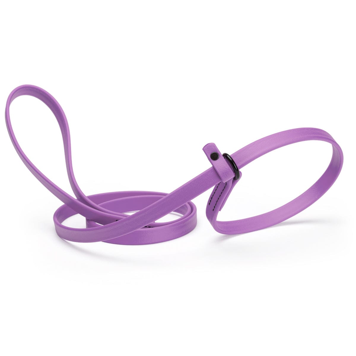 Biothane Slip Lead for Dogs, 5FT and 7FT