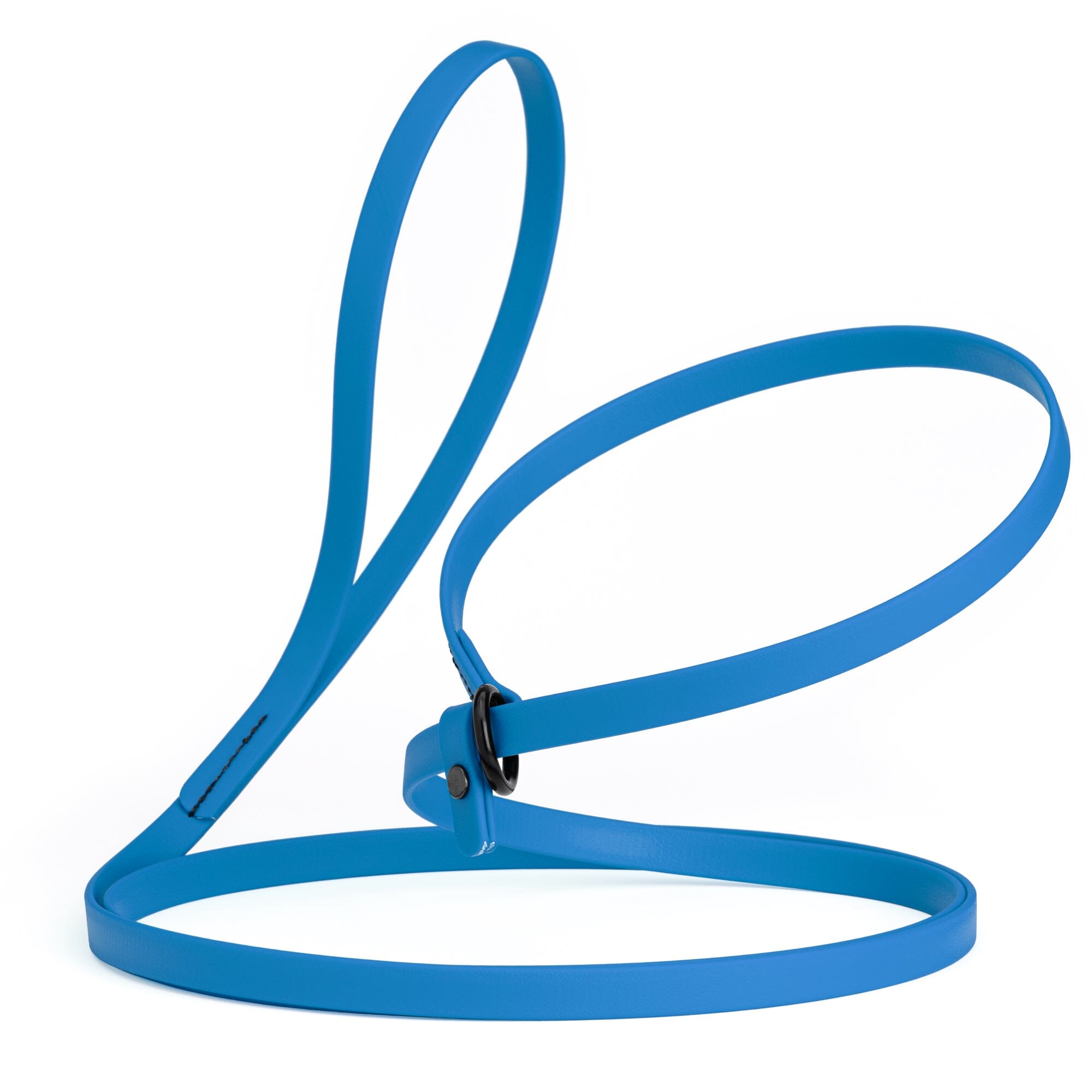 Biothane Slip Lead for Dogs, 5FT and 7FT