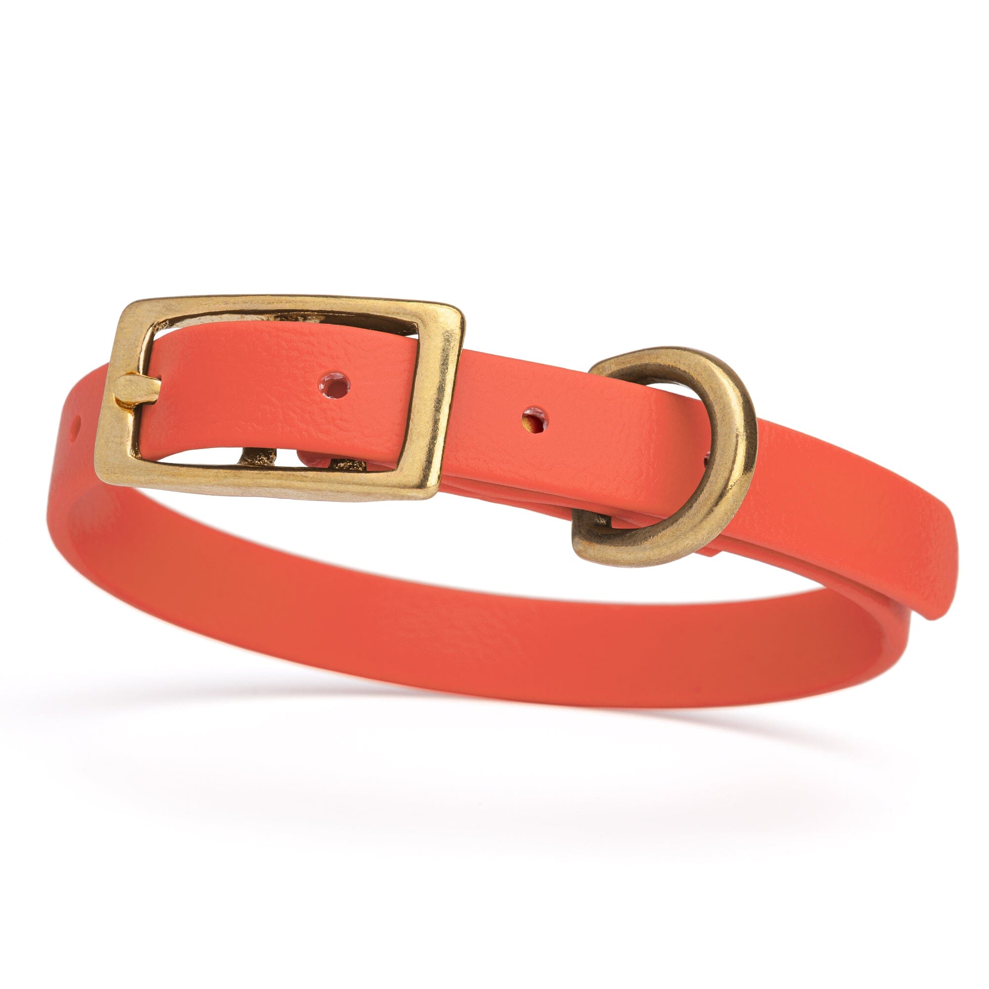 Viper Biothane Waterproof Dog Collar with Brass Hardware