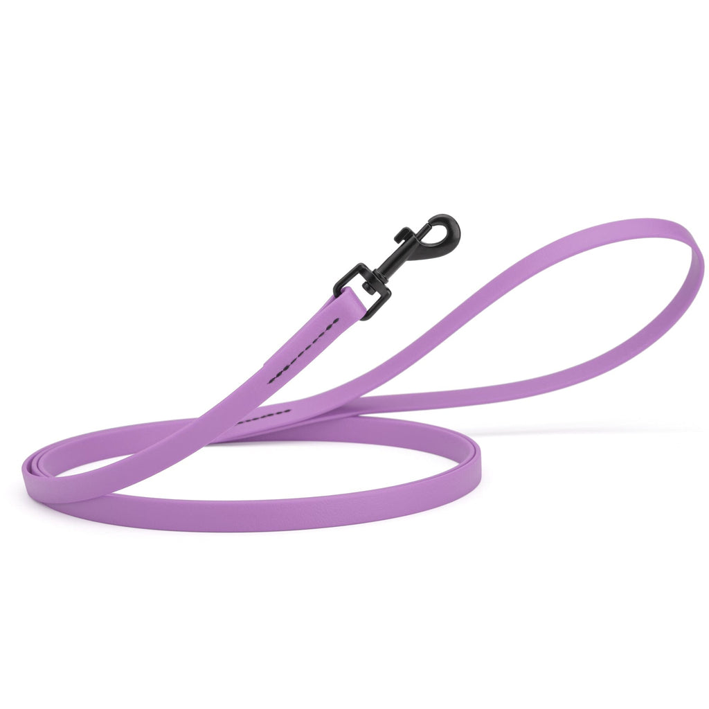 Biothane Waterproof Dog Leash, 4 ft