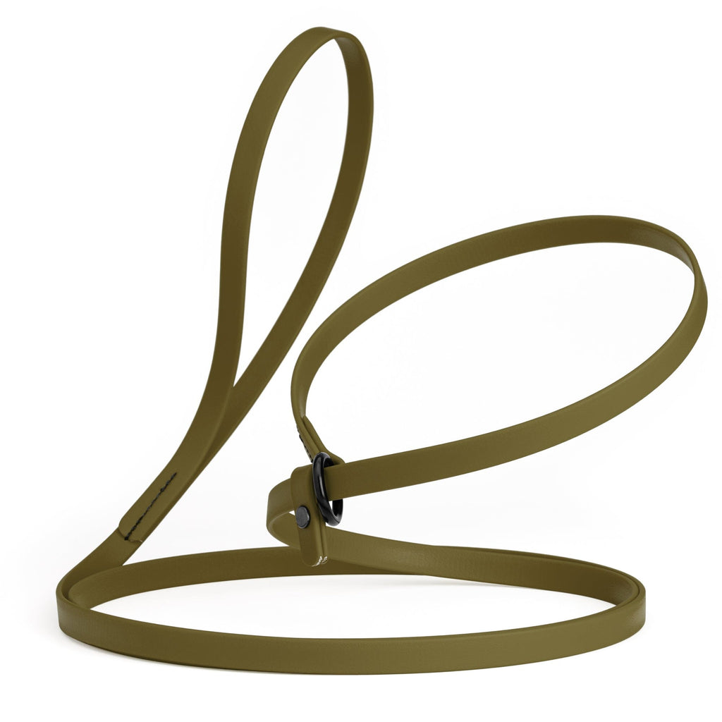 Biothane Slip Lead for Dogs, 5FT and 7FT