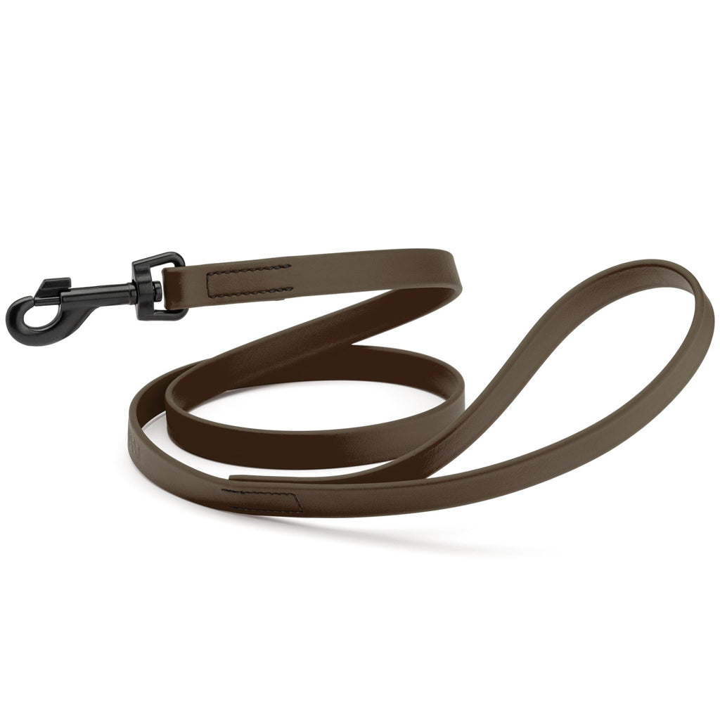Biothane Waterproof Dog Leash, 4 ft