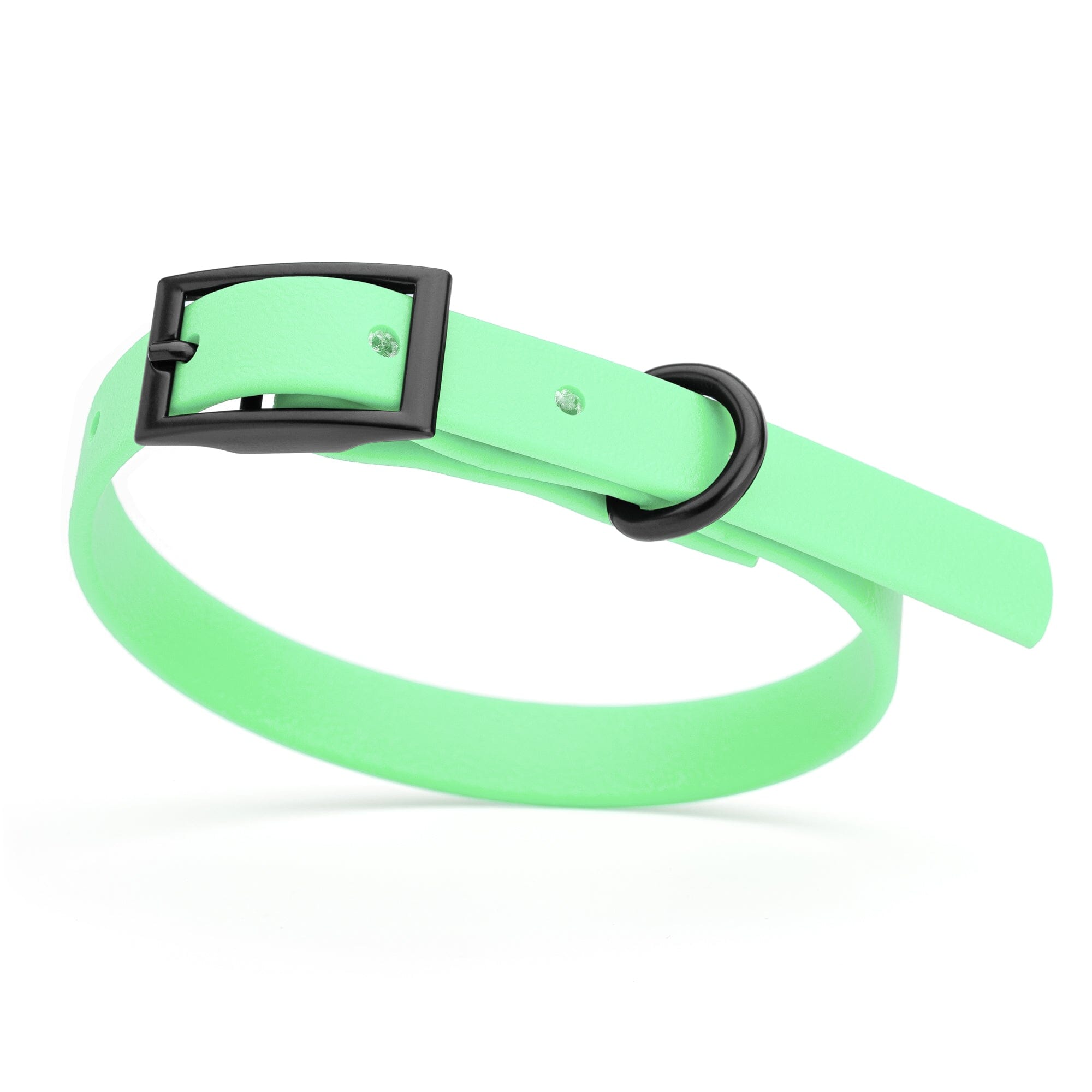 Biothane Waterproof Dog Collar - X-Small (9 to 12 inches)