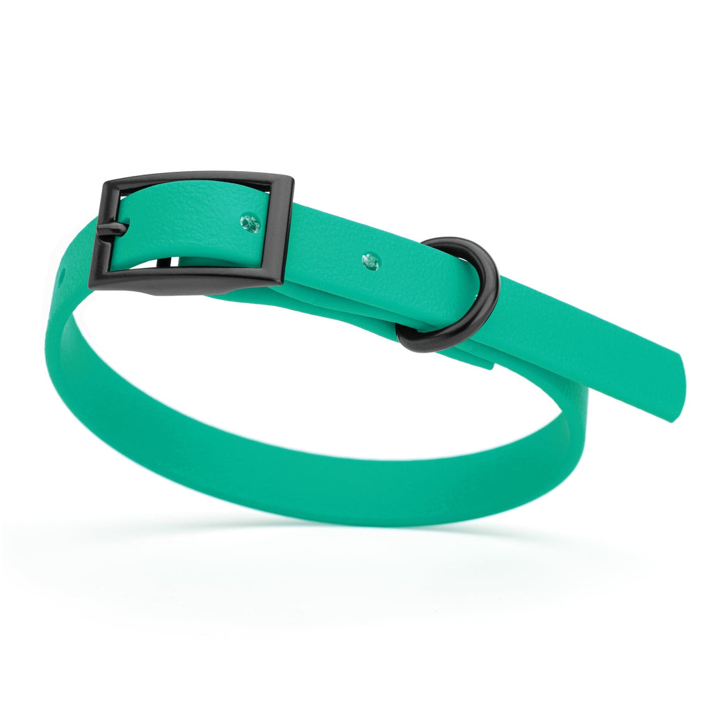 Biothane Waterproof Dog Collar - X-Small (9 to 12 inches)