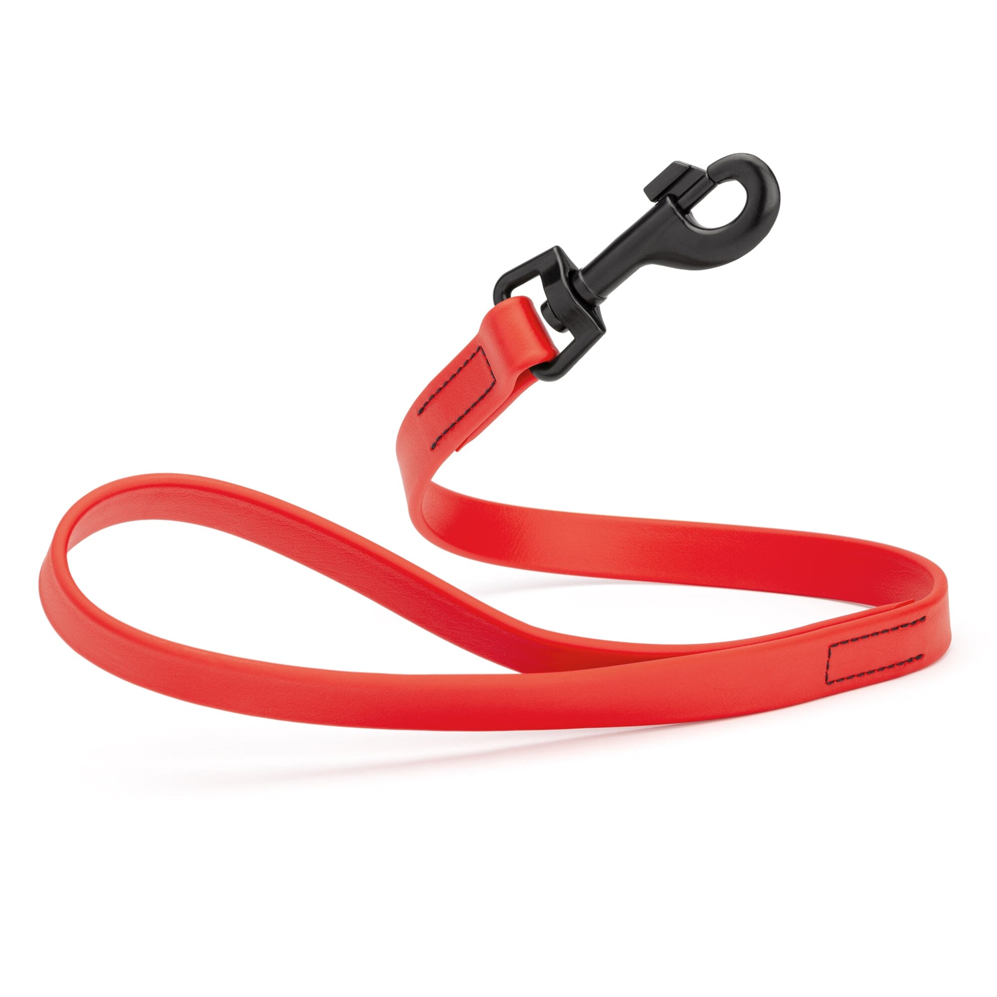 Biothane Waterproof Traffic Lead for Dogs, 2 ft