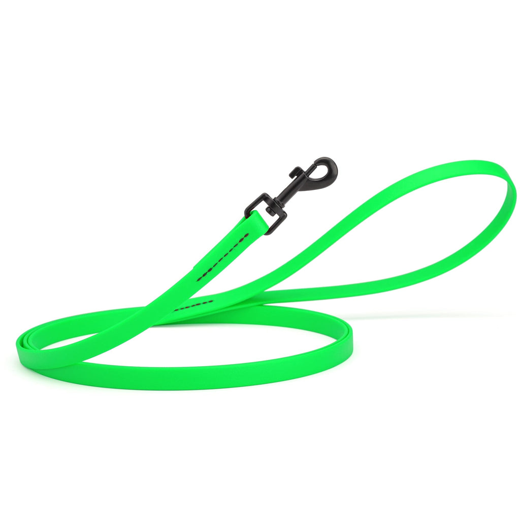 Biothane Waterproof Dog Leash, 4 ft