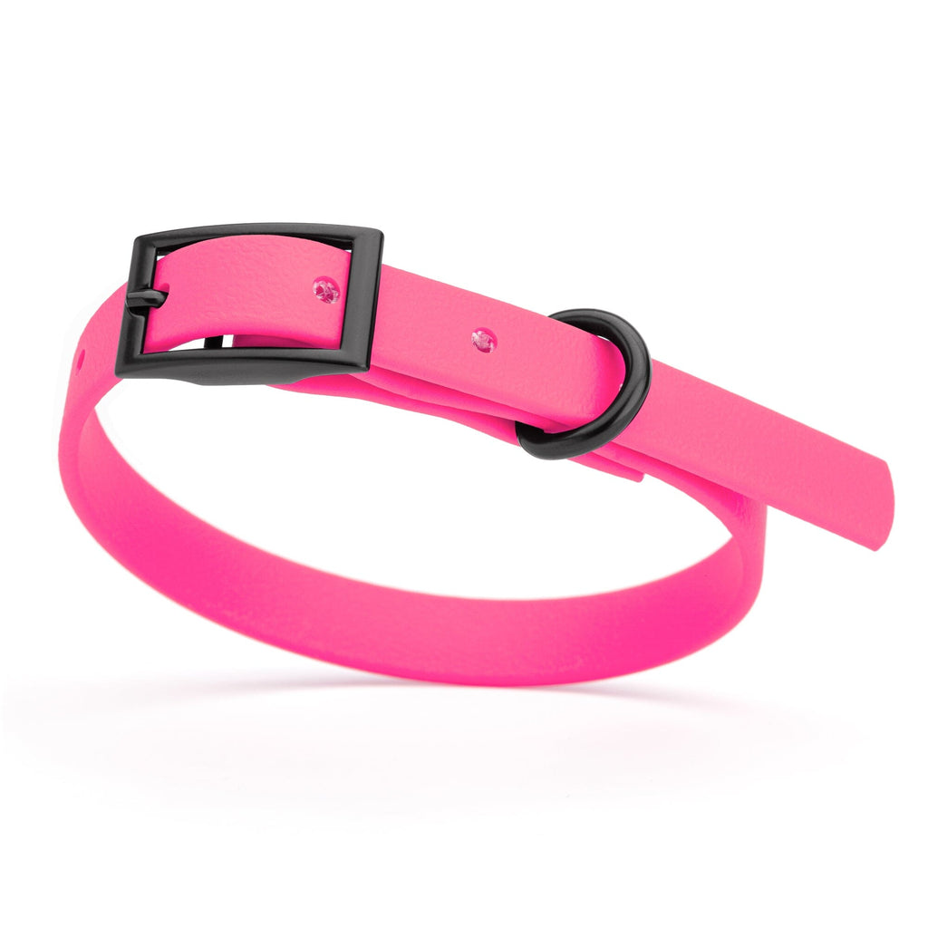 Biothane Waterproof Dog Collar - X-Small (9 to 12 inches)