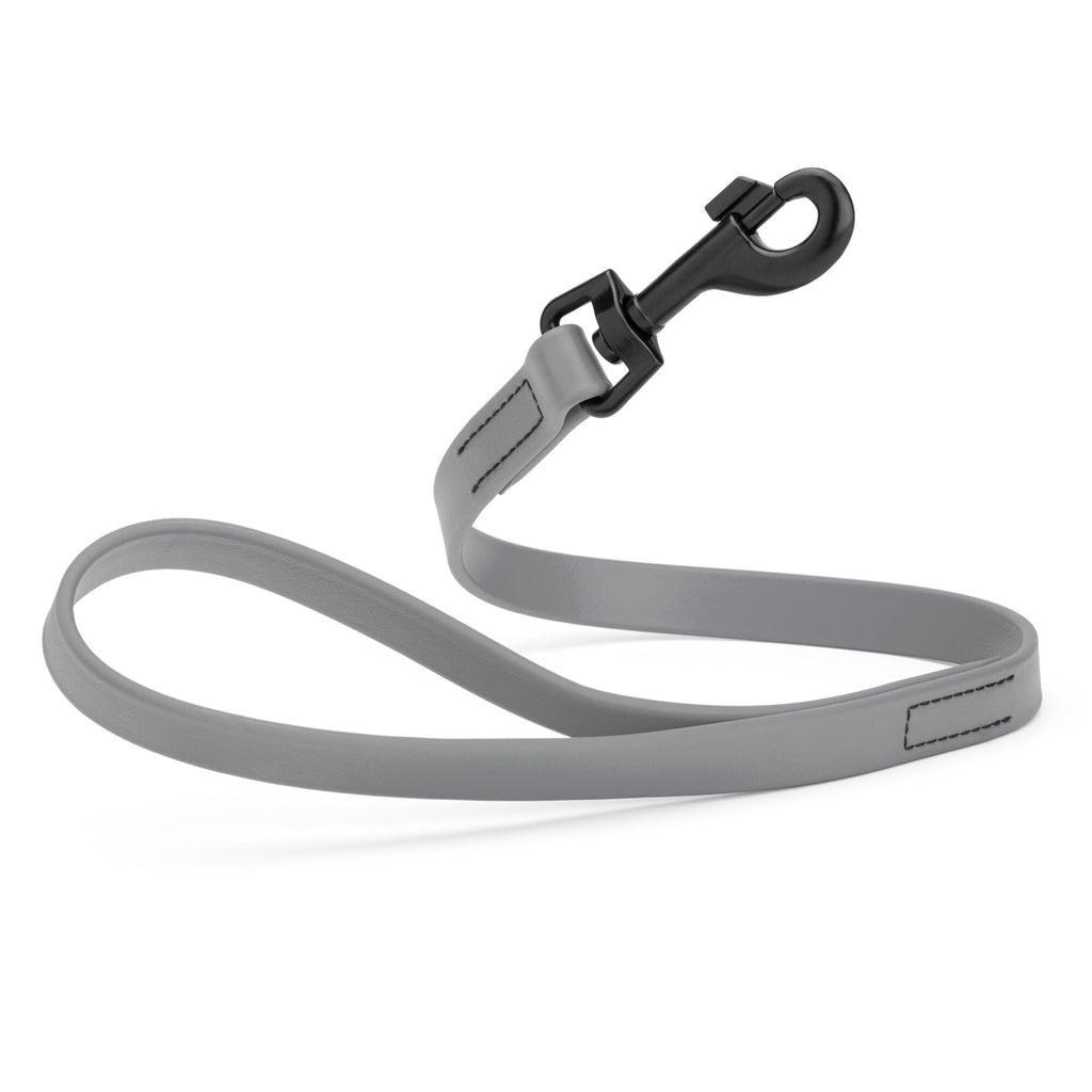 Biothane Waterproof Traffic Lead for Dogs, 2 ft