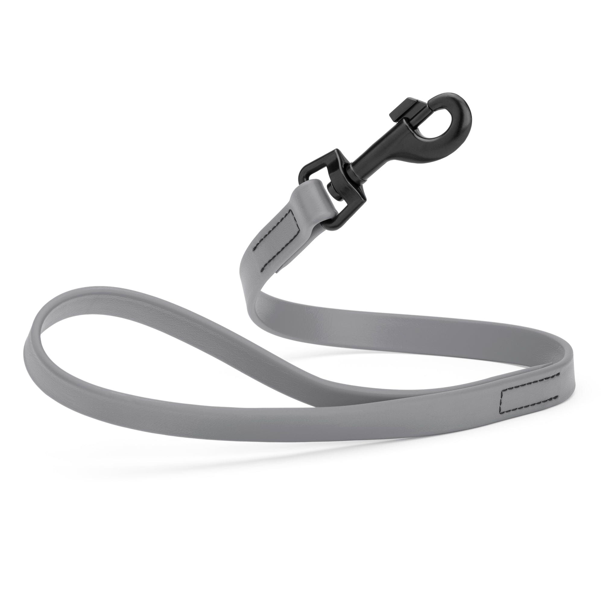 Biothane Waterproof Traffic Lead for Dogs, 2 ft