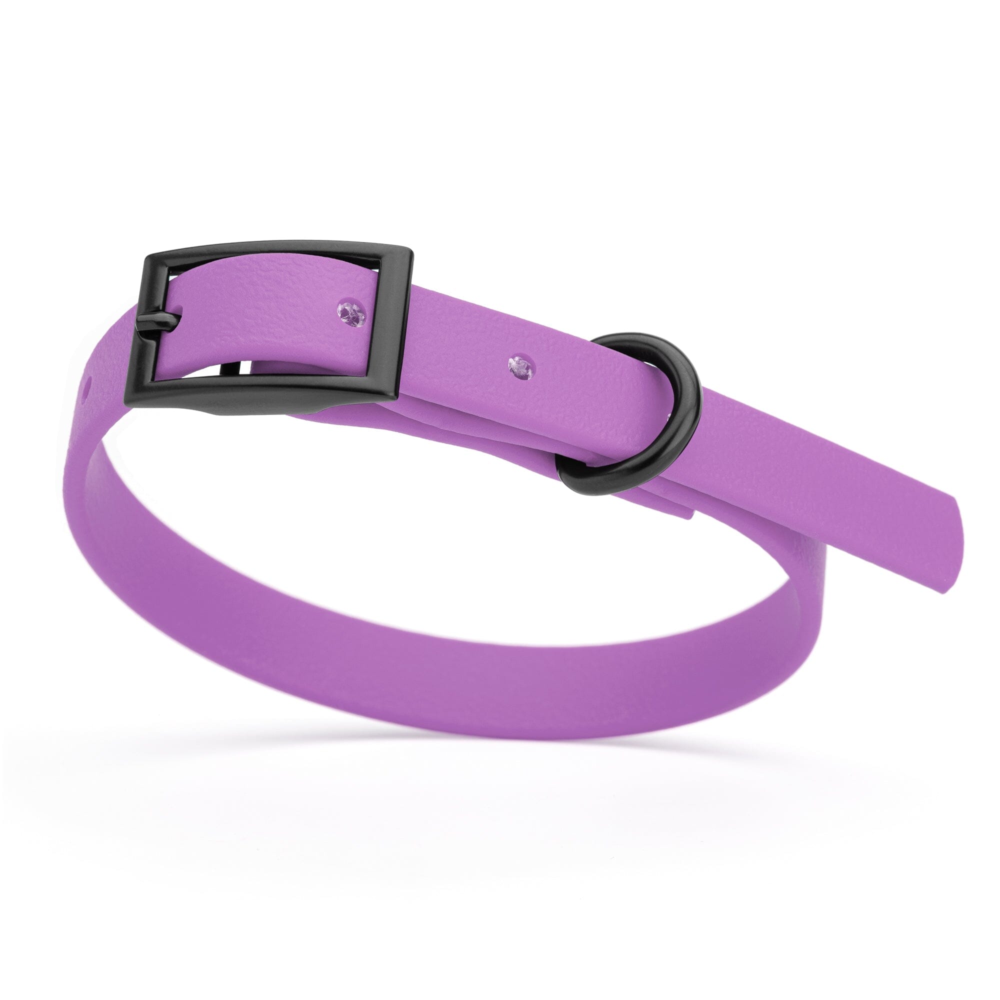 Biothane Waterproof Dog Collar - X-Small (9 to 12 inches)