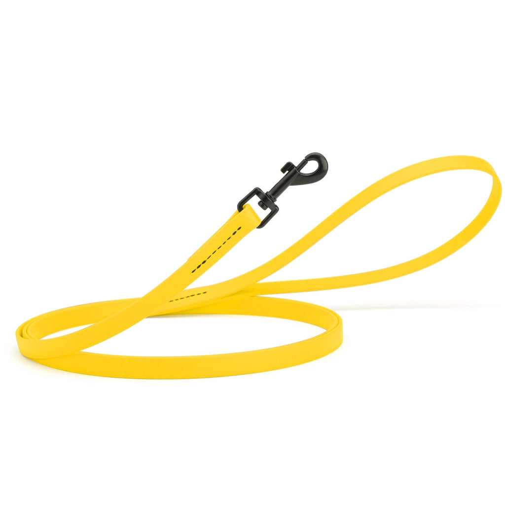 Biothane Waterproof Dog Leash, 4 ft