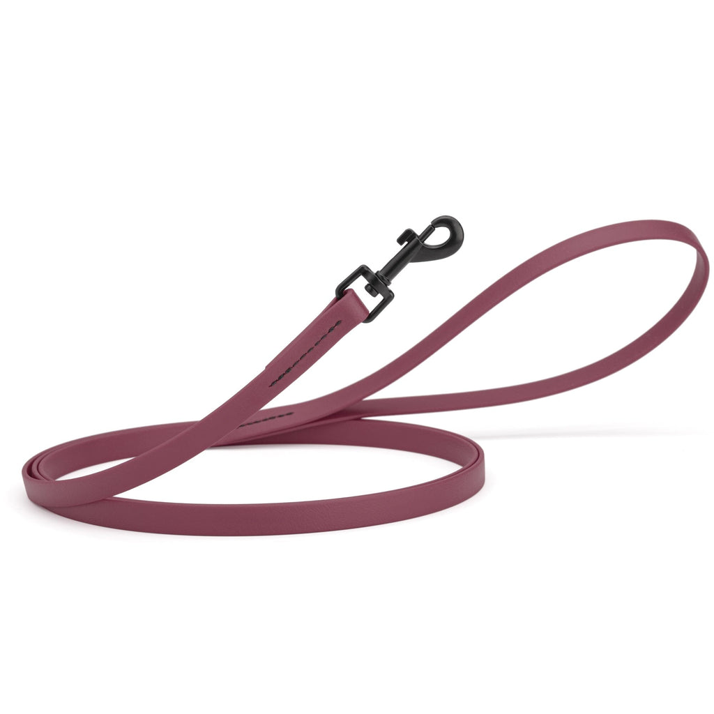 Biothane Waterproof Dog Leash, 4 ft