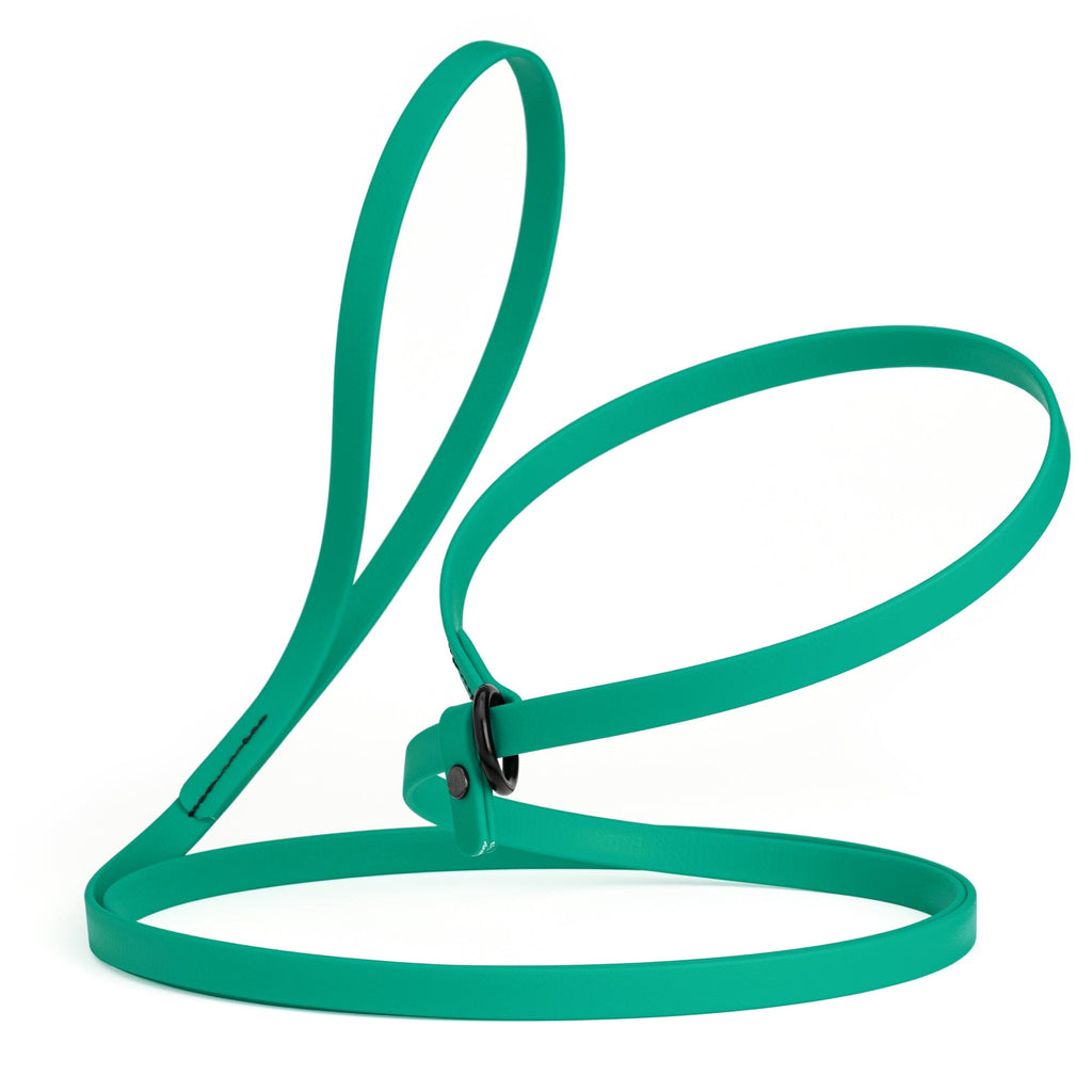 Biothane Slip Lead for Dogs, 5FT and 7FT