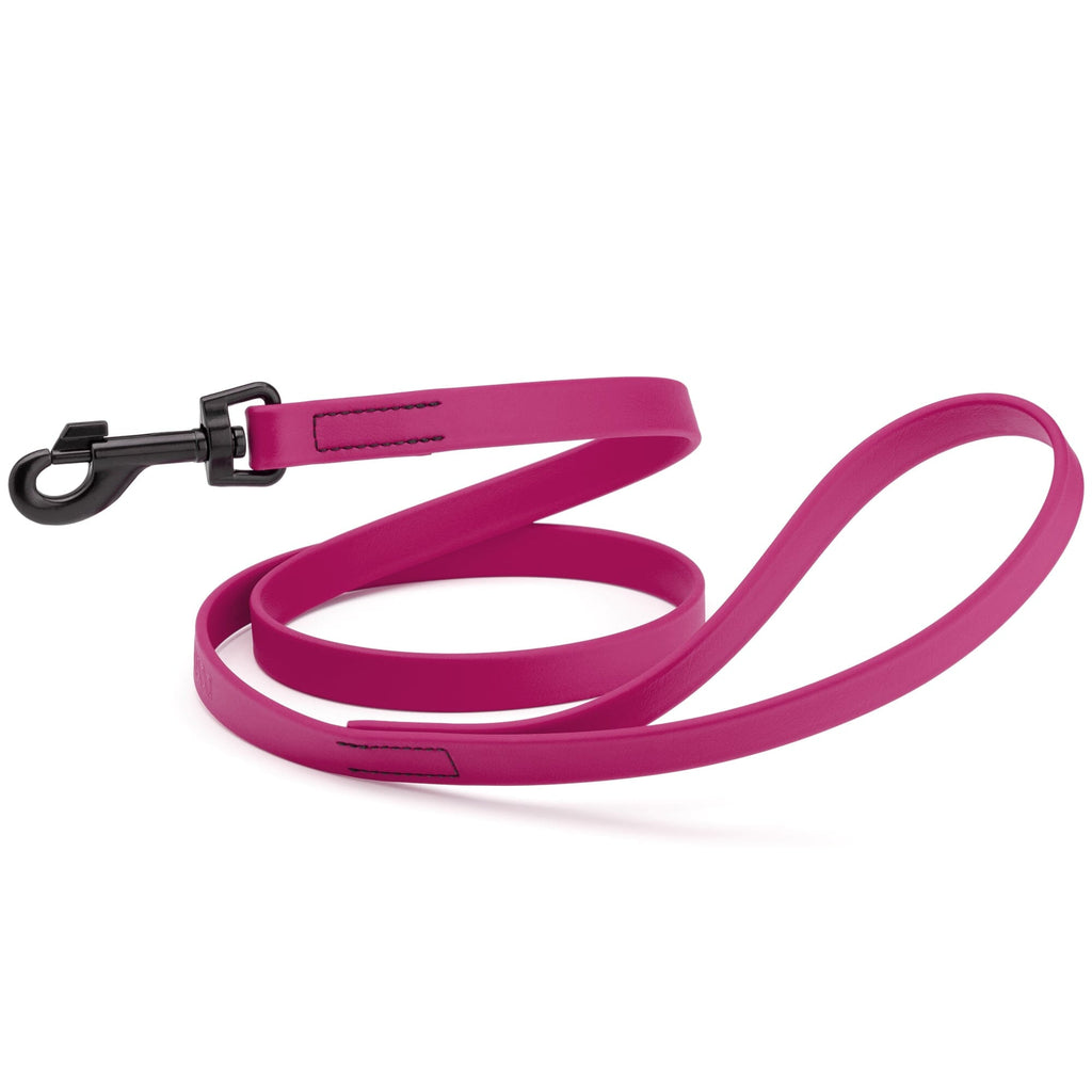 Biothane Waterproof Dog Leash, 4 ft