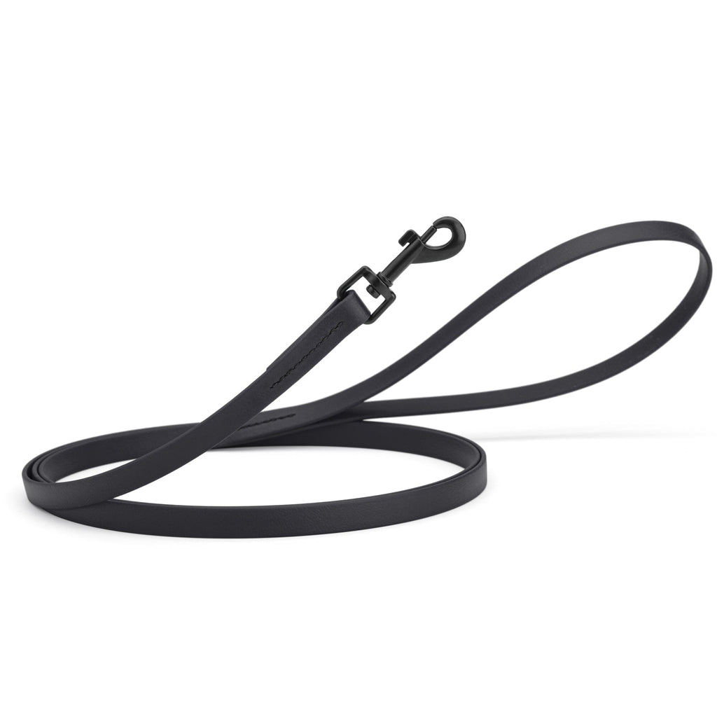 Biothane Waterproof Dog Leash, 4 ft