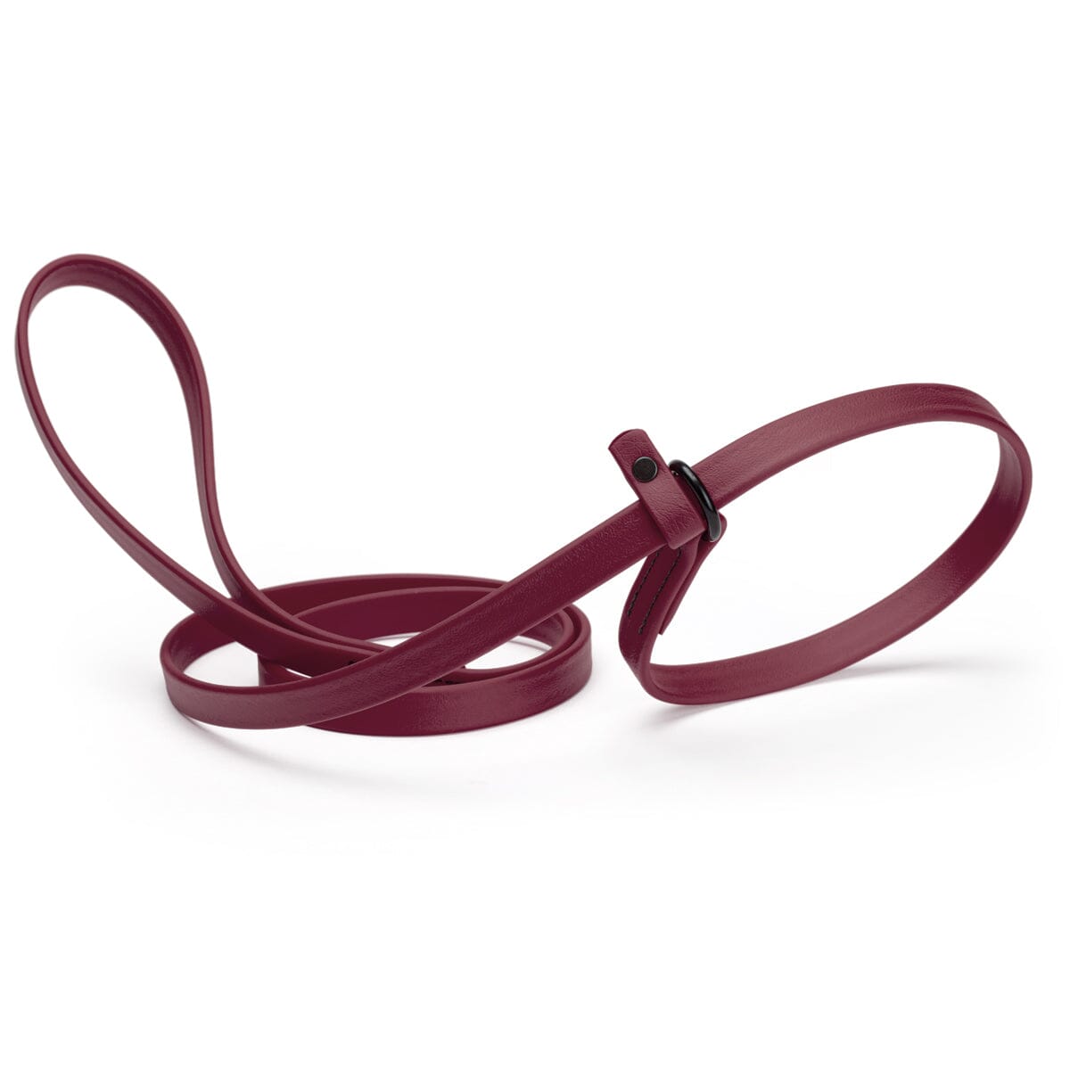 Biothane Slip Lead for Dogs, 5FT and 7FT