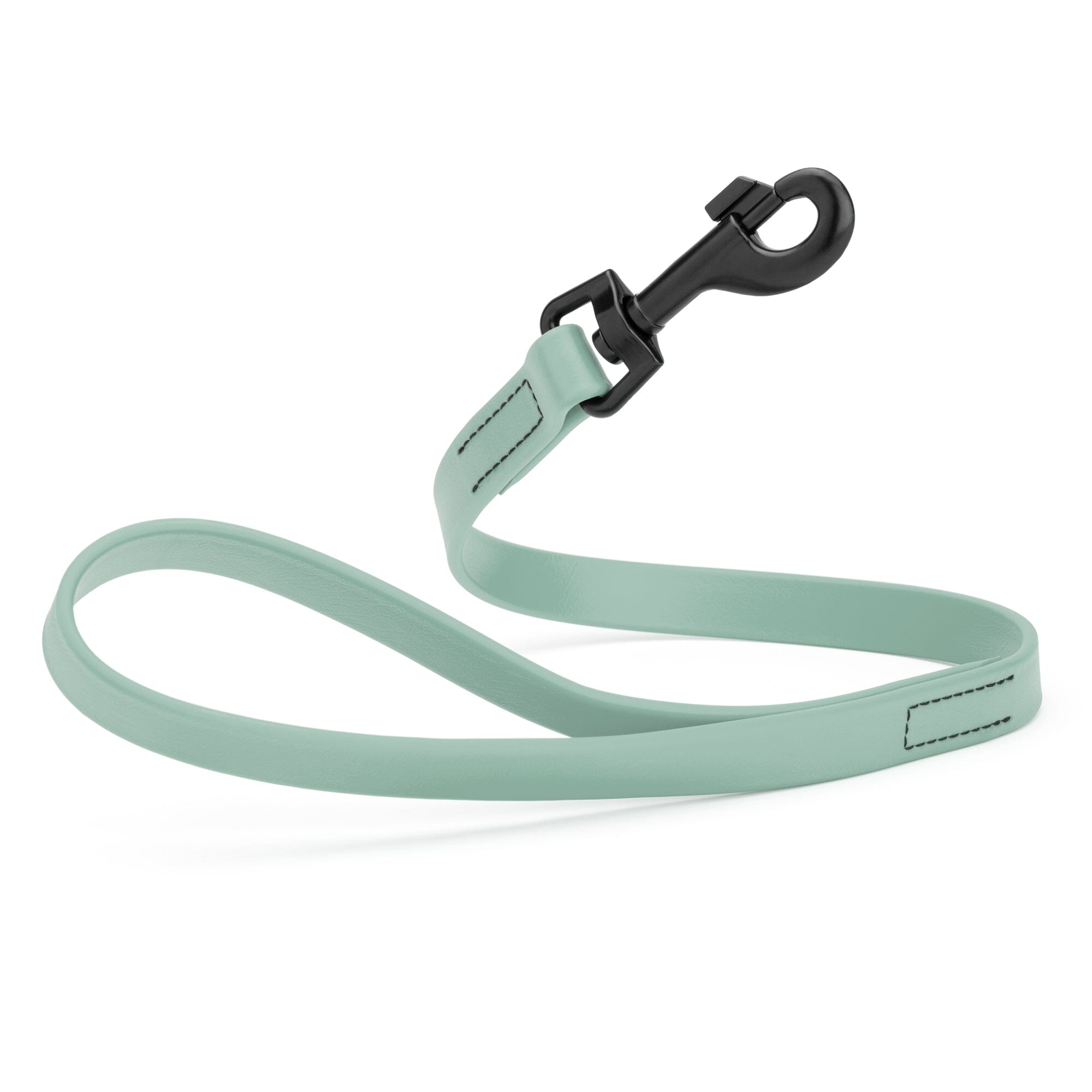 Biothane Waterproof Traffic Lead for Dogs, 2 ft