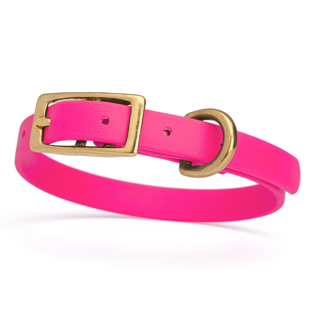 Viper Biothane Waterproof Dog Collar with Brass Hardware