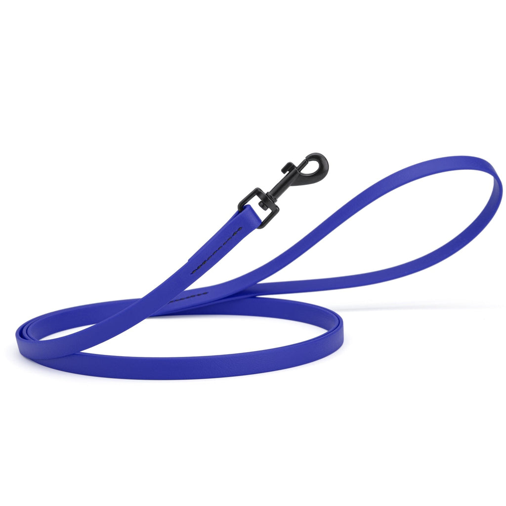 Biothane Waterproof Dog Leash, 4 ft