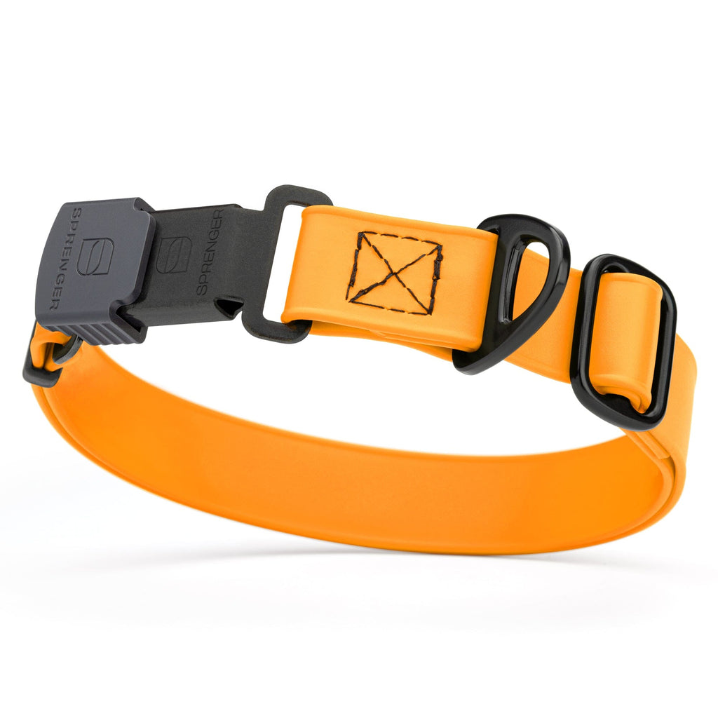 Dogline Biothane Waterproof Dog Collar with Herm Sprenger Stainless Steel Quick Release Buckle