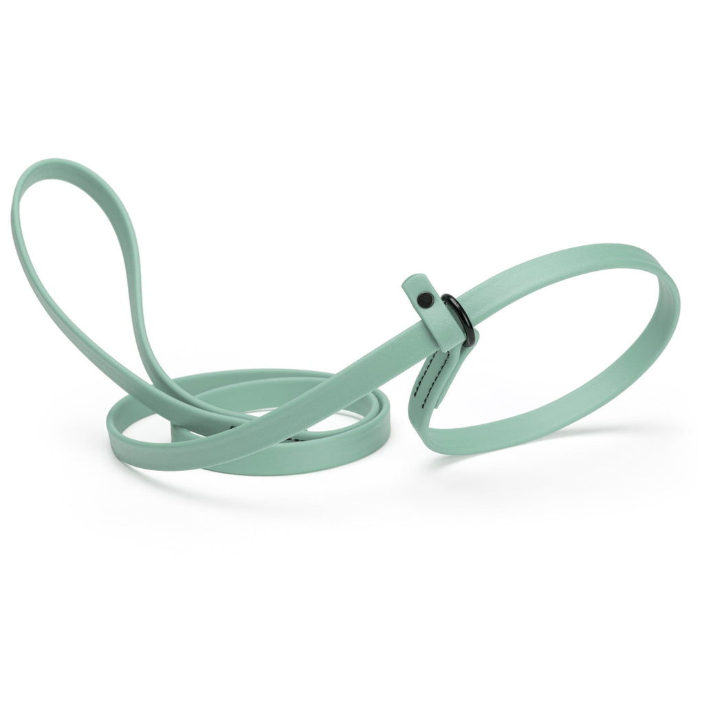 Biothane Slip Lead for Dogs, 5FT and 7FT