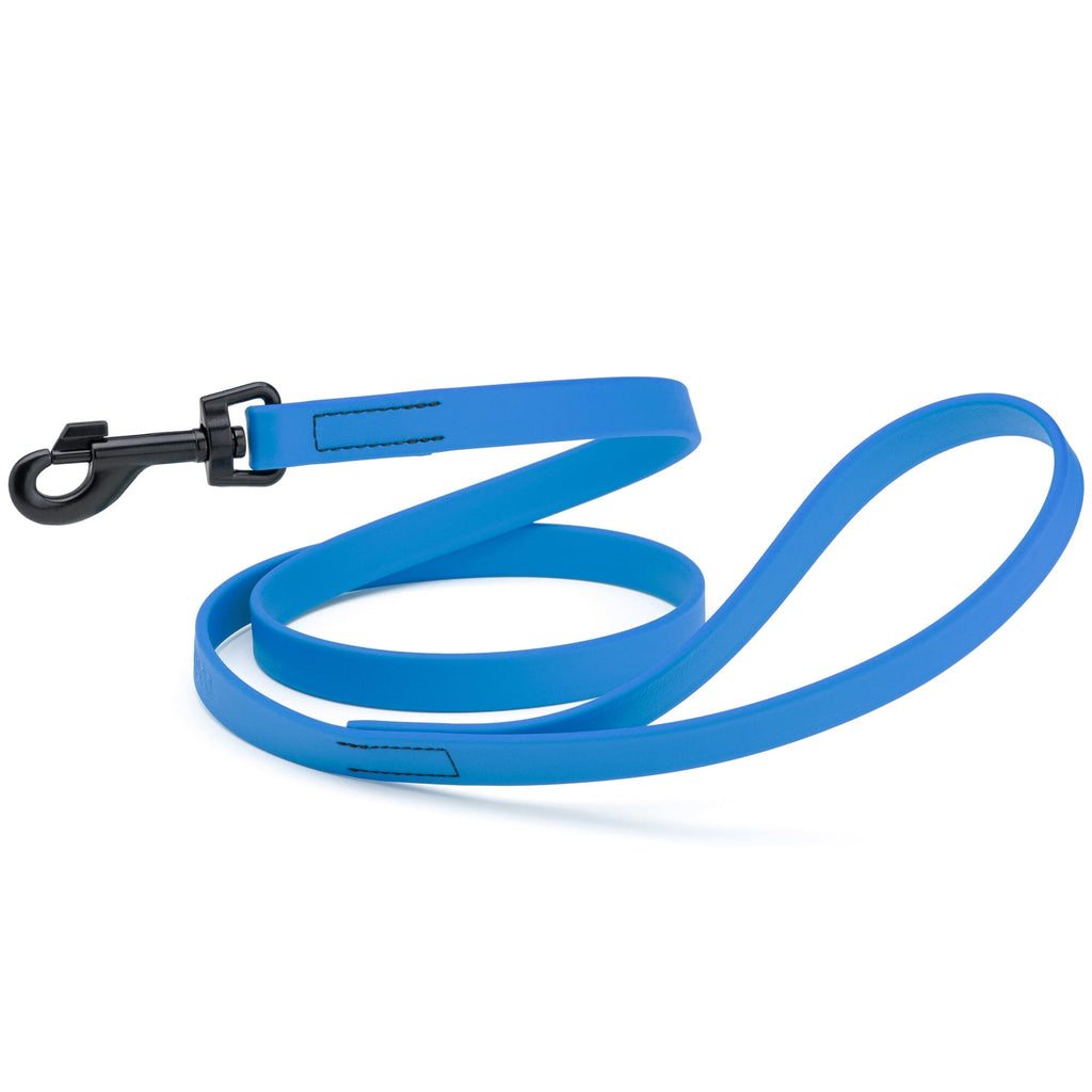 Biothane Waterproof Dog Leash, 4 ft