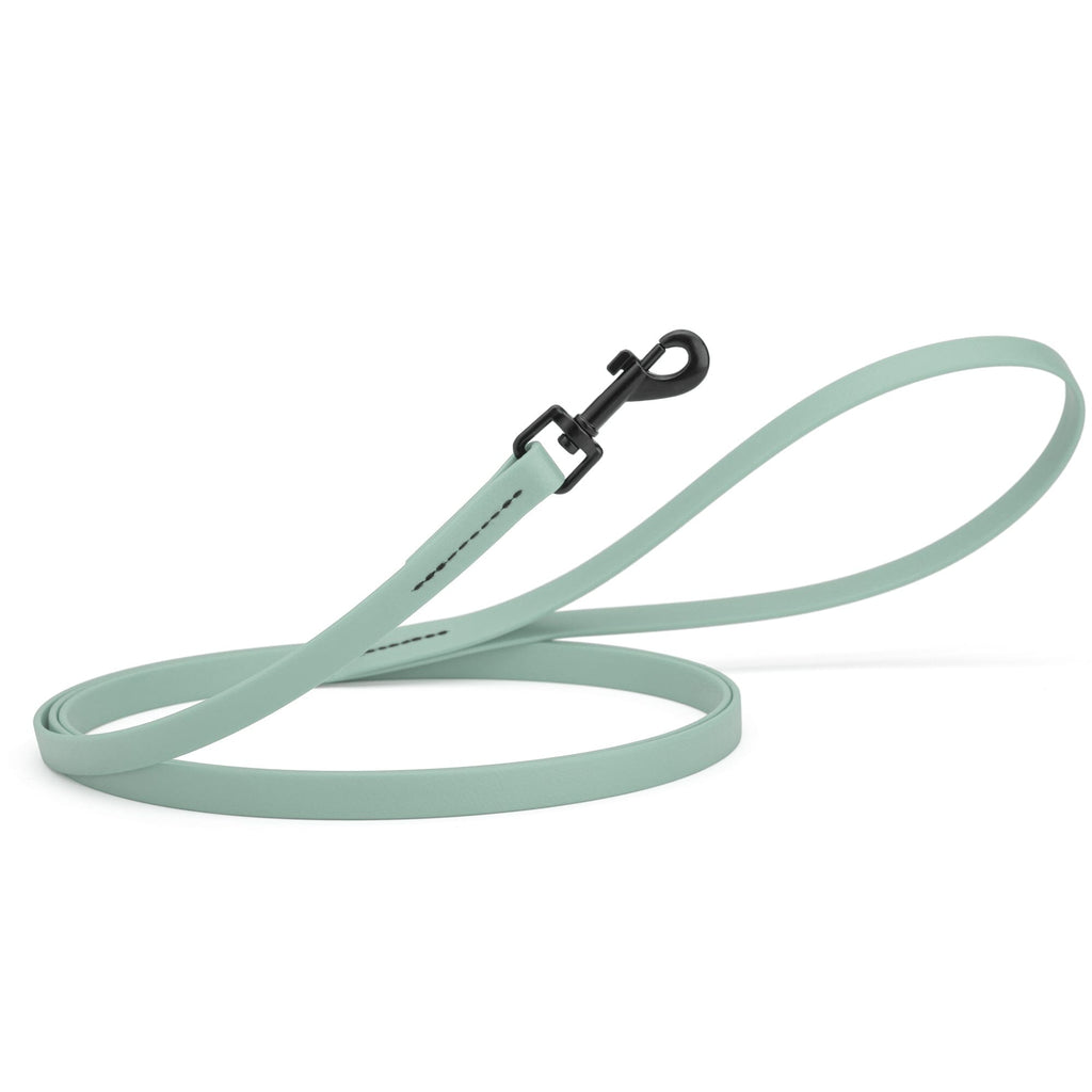 Biothane Waterproof Dog Leash, 4 ft