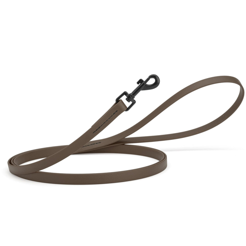 Biothane Waterproof Dog Leash, 4 ft