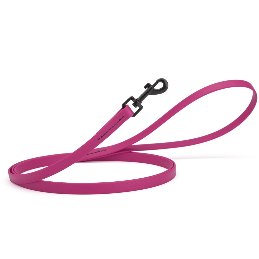 Biothane Waterproof Dog Leash, 4 ft