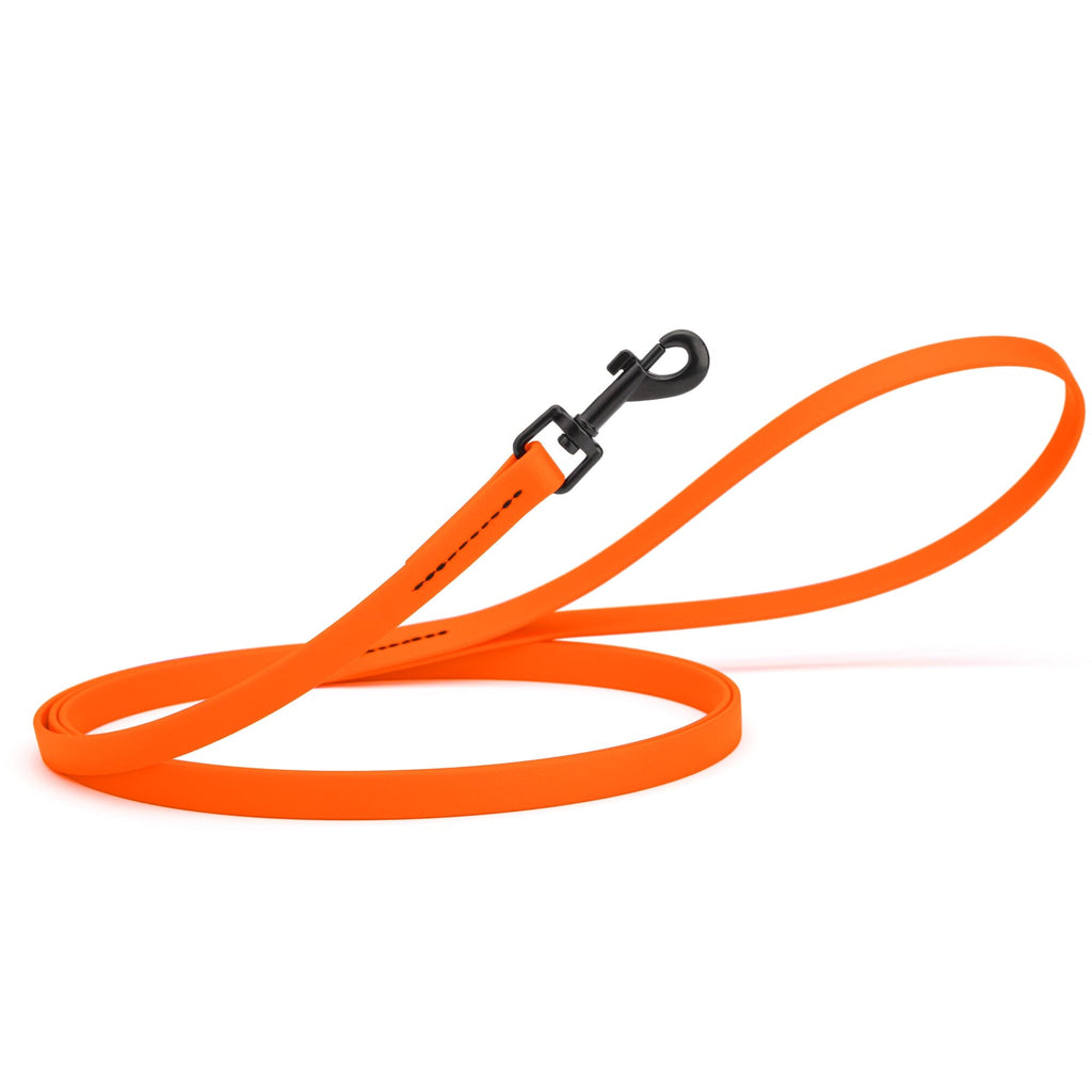 Biothane Waterproof Dog Leash, 4 ft
