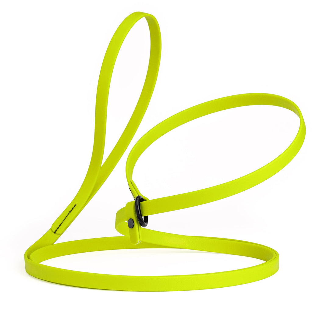 Biothane Slip Lead for Dogs, 5FT and 7FT