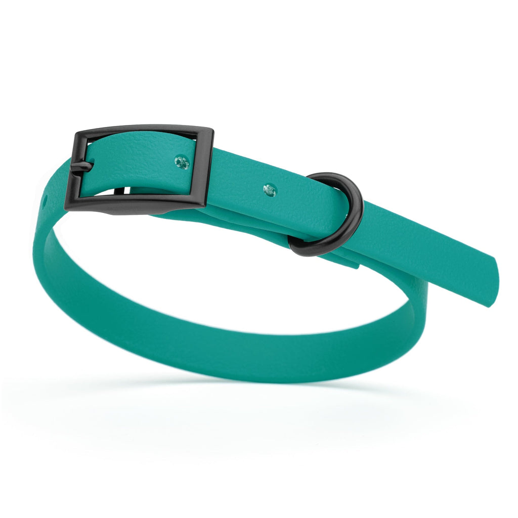Biothane Waterproof Dog Collar - X-Small (9 to 12 inches)