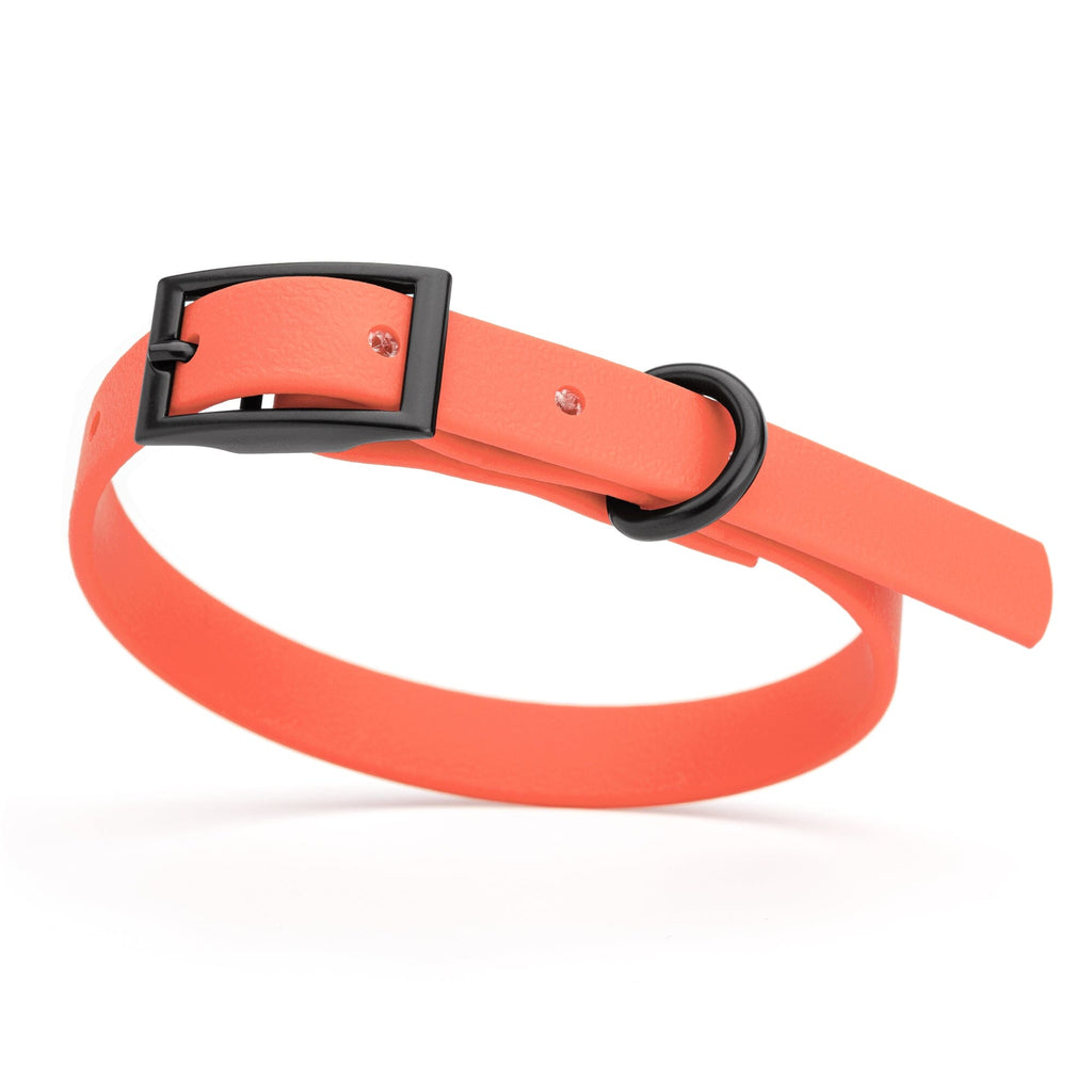 Biothane Waterproof Dog Collar - X-Small (9 to 12 inches)