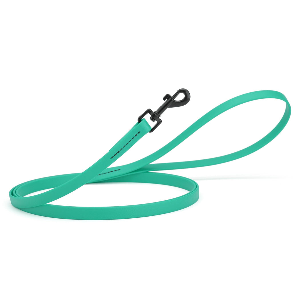 Biothane Waterproof Dog Leash, 4 ft