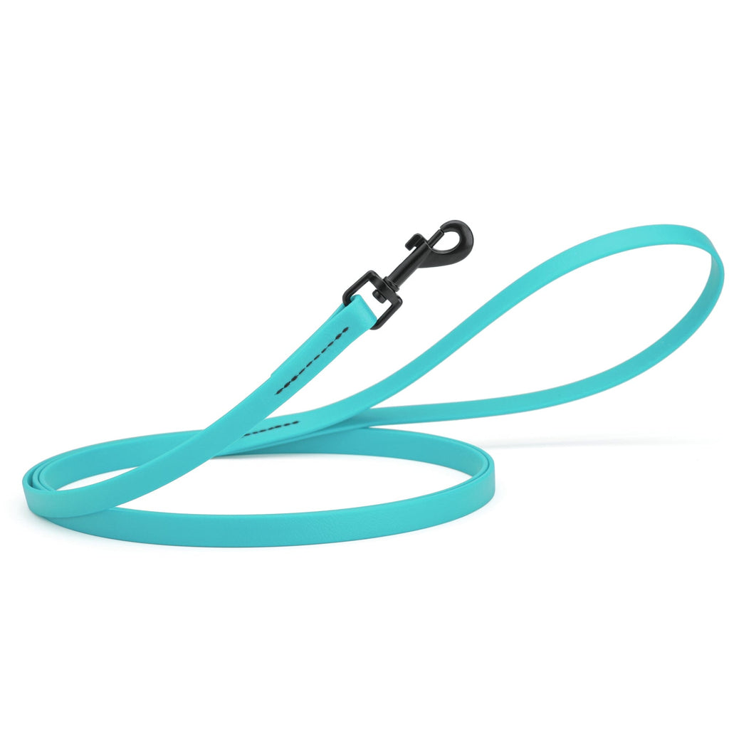 Biothane Waterproof Dog Leash, 4 ft