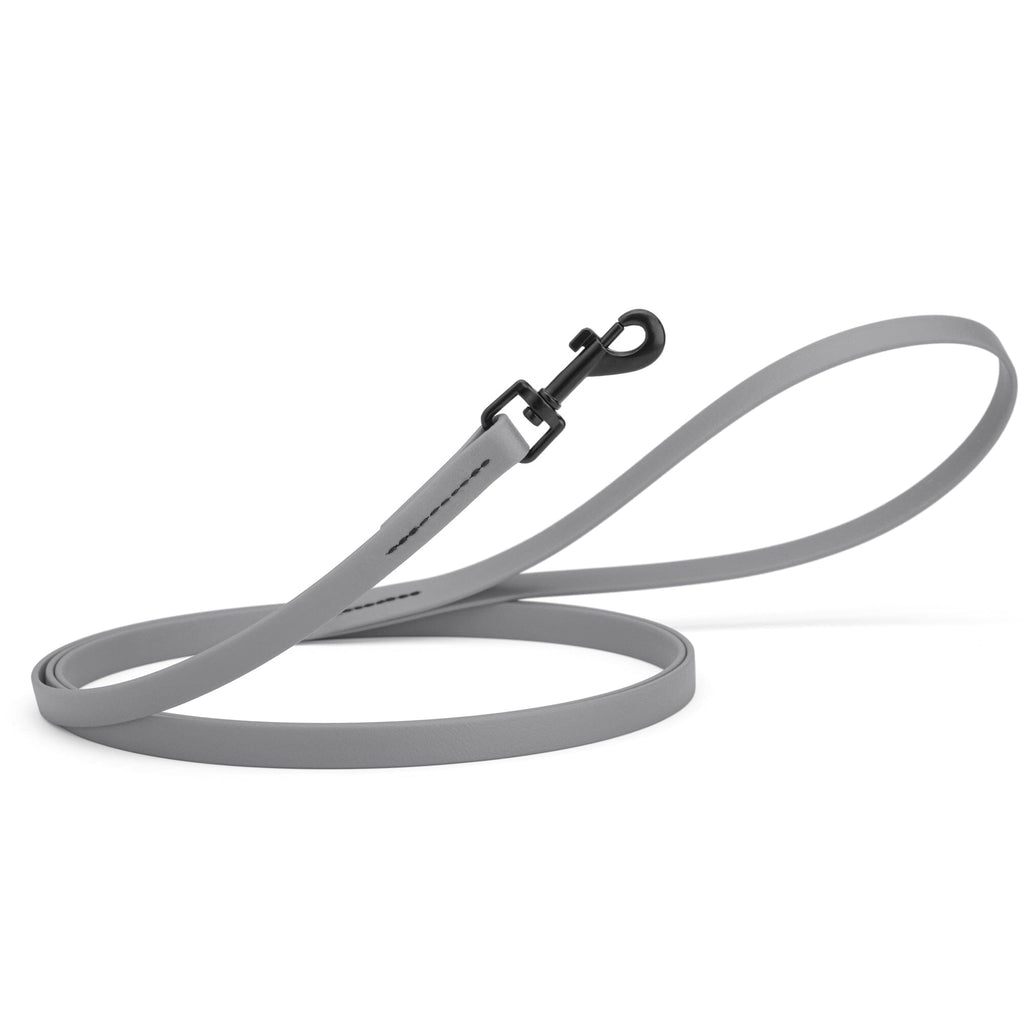Biothane Waterproof Dog Leash, 4 ft