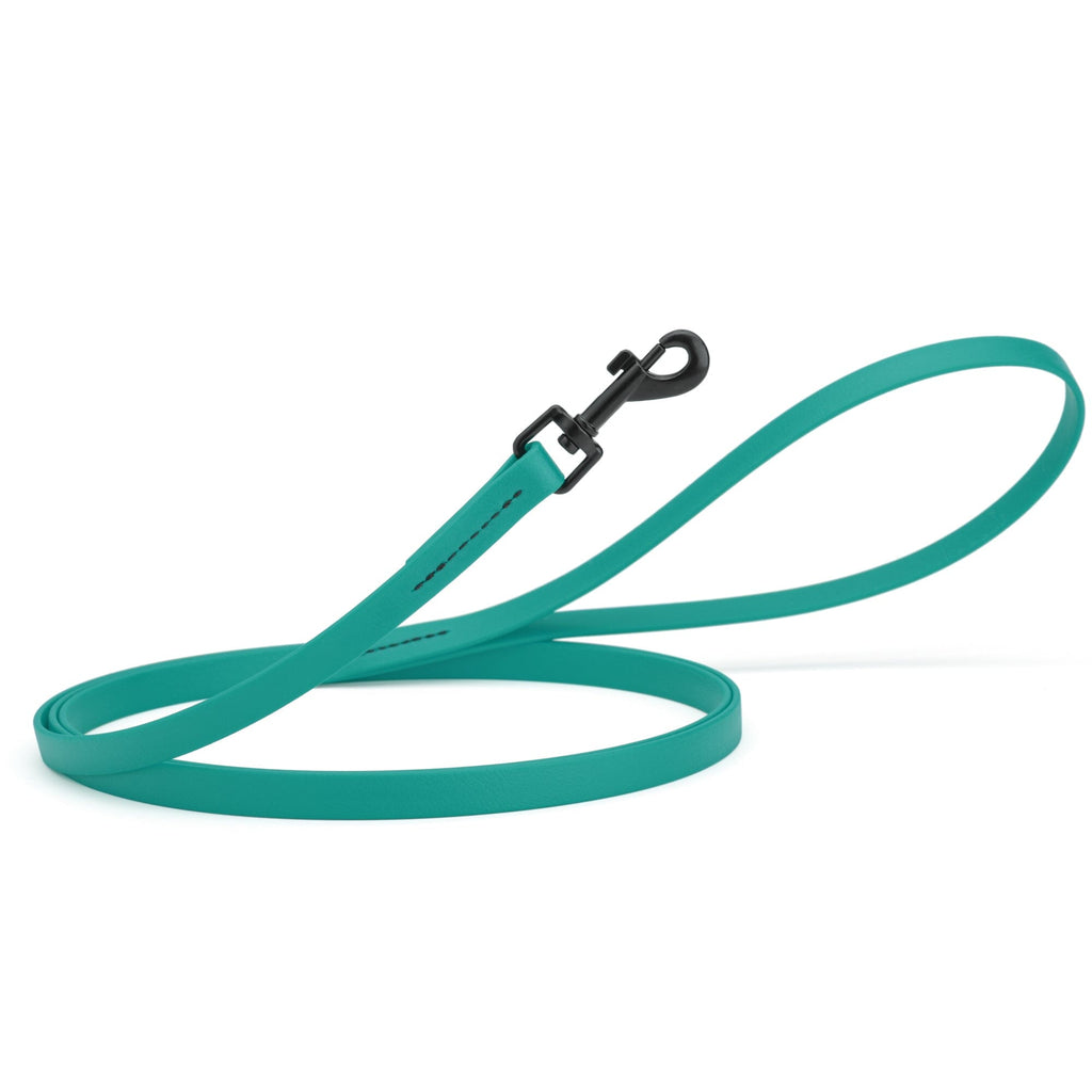 Biothane Waterproof Dog Leash, 4 ft