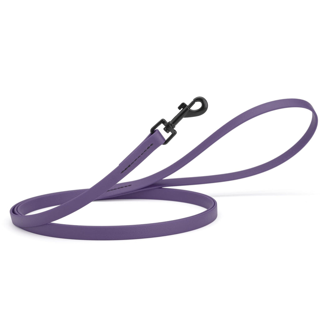Biothane Waterproof Dog Leash, 4 ft