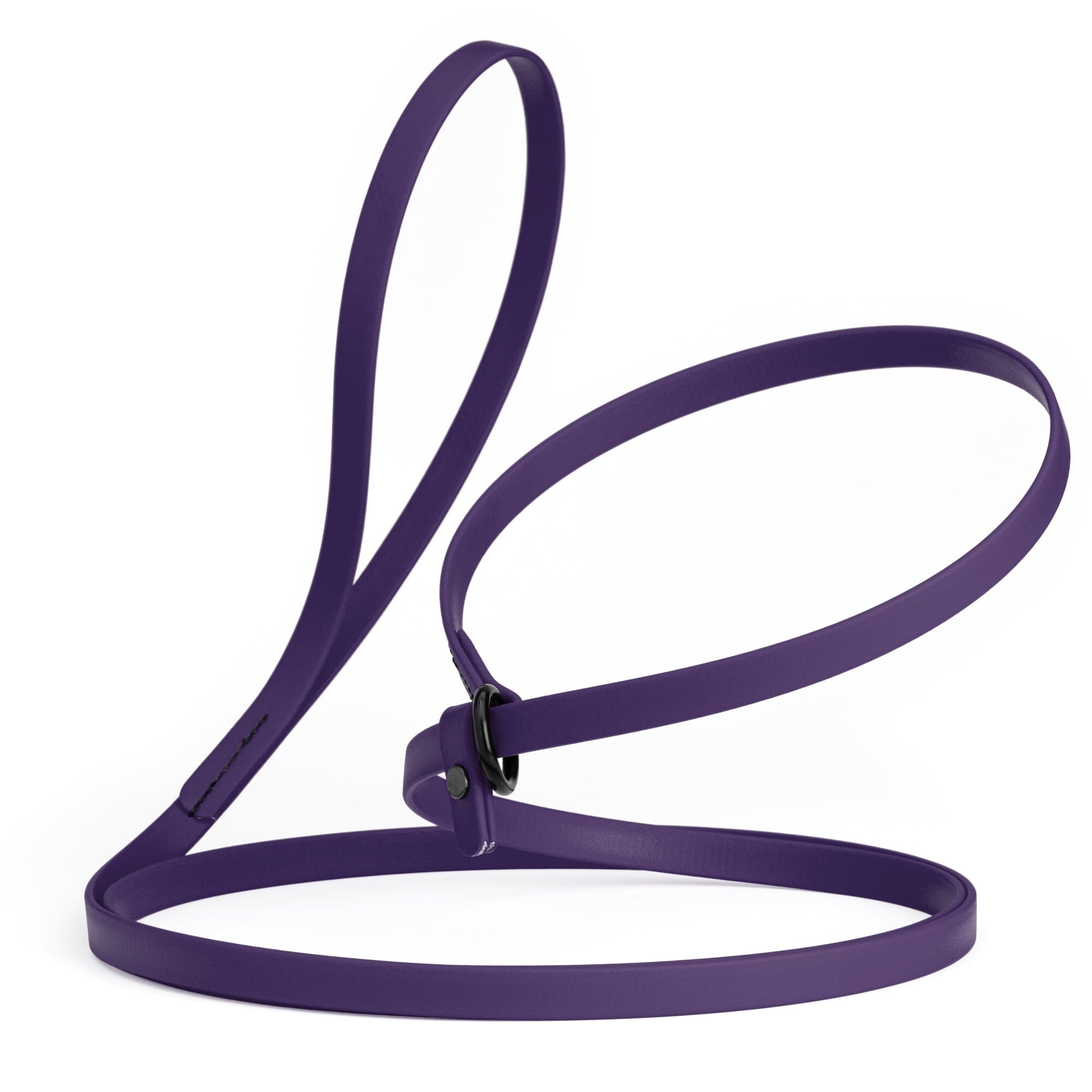 Biothane Slip Lead for Dogs, 5FT and 7FT