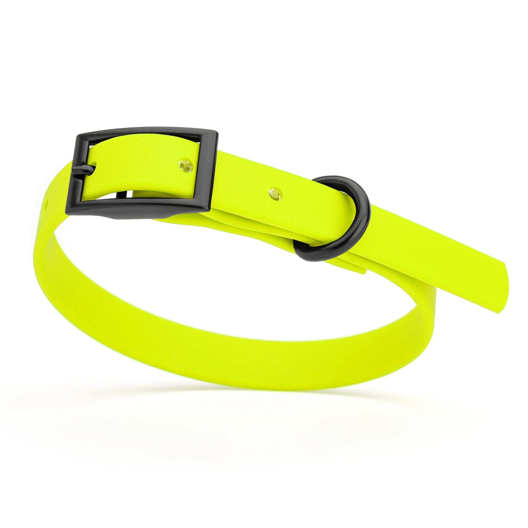 Biothane Waterproof Dog Collar - X-Small (9 to 12 inches)