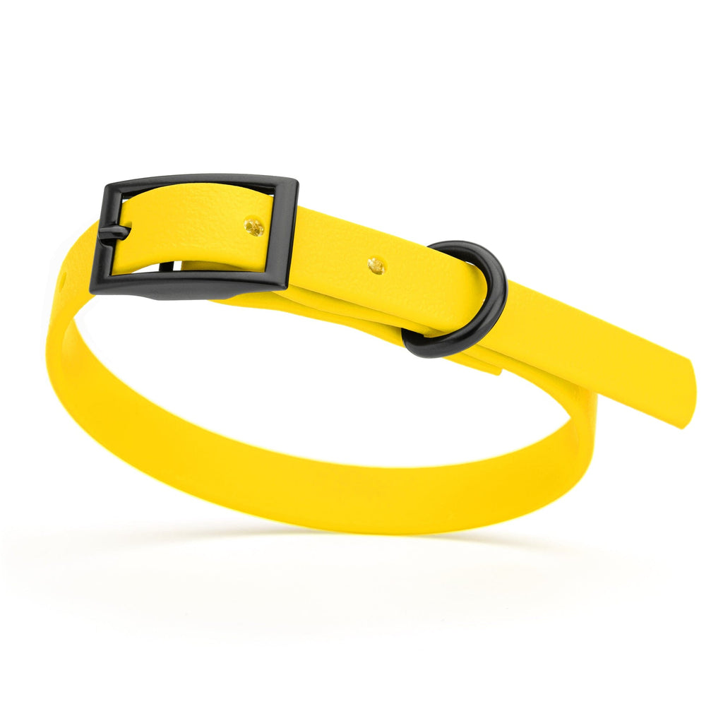 Biothane Waterproof Dog Collar - X-Small (9 to 12 inches)