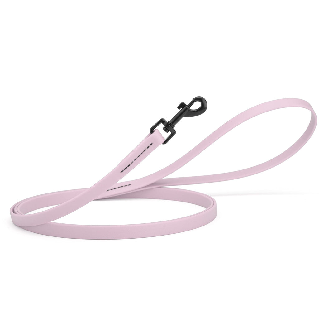 Biothane Waterproof Dog Leash, 4 ft