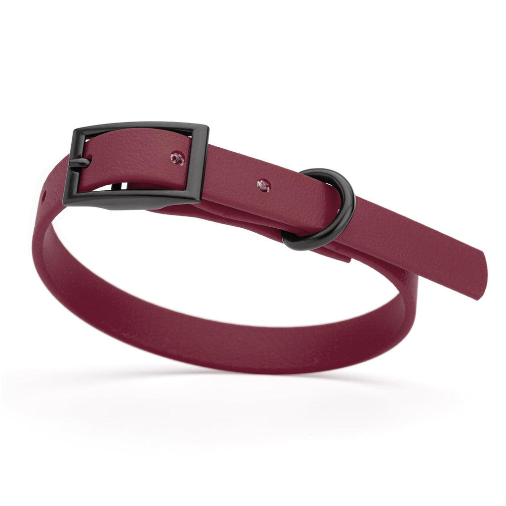 Biothane Waterproof Dog Collar - X-Small (9 to 12 inches)