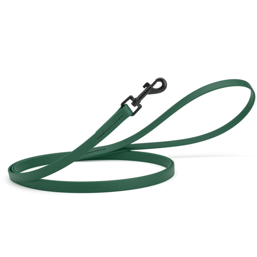 Biothane Waterproof Dog Leash, 4 ft
