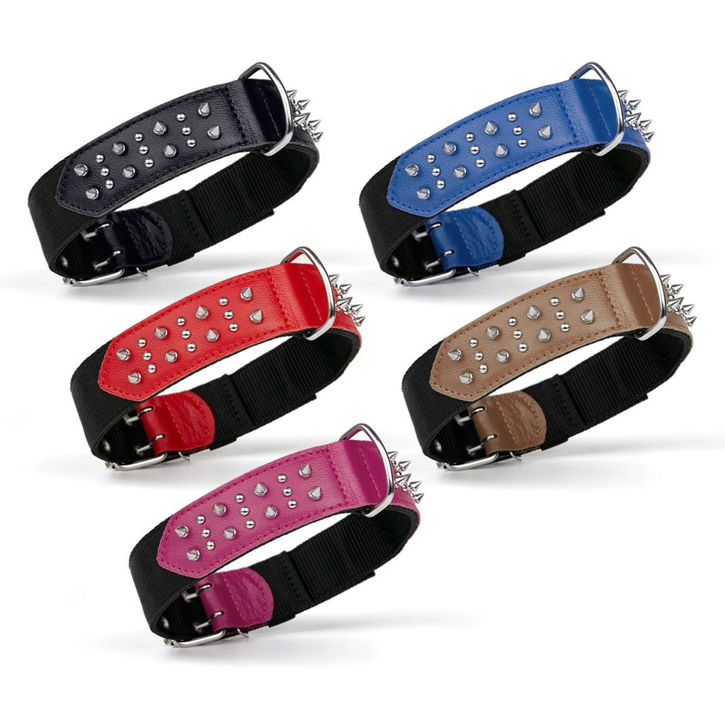Leather + Nylon Spiked Dog Collar
