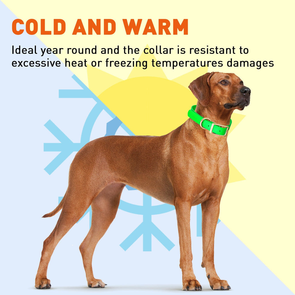 Viper Biothane Waterproof Dog Collar with Brass Hardware