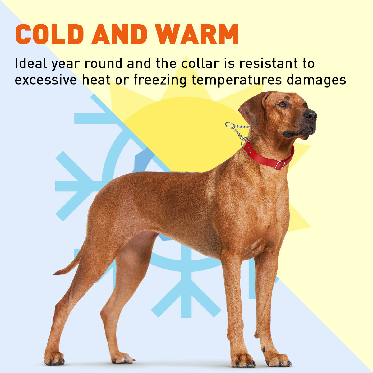 Biothane Adjustable Martingale Collar for Dogs